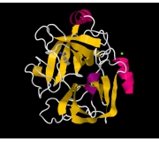KALLIKREIN-6 (KLK6, NEUROSIN) ELISA KIT (Part No. KLK6-ELISA) kw kallikrein 6, neurosin